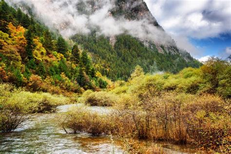 Clear River Water Among Autumn Forest In The Min Mountains Stock Image