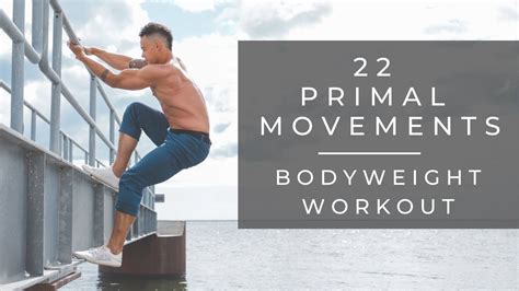 22 Primal Movements Mobility And Flow Workout Follow Along Youtube