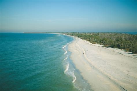 7 Of The Wildest Nature Spots On The Beaches Of Fort Myers And Sanibel