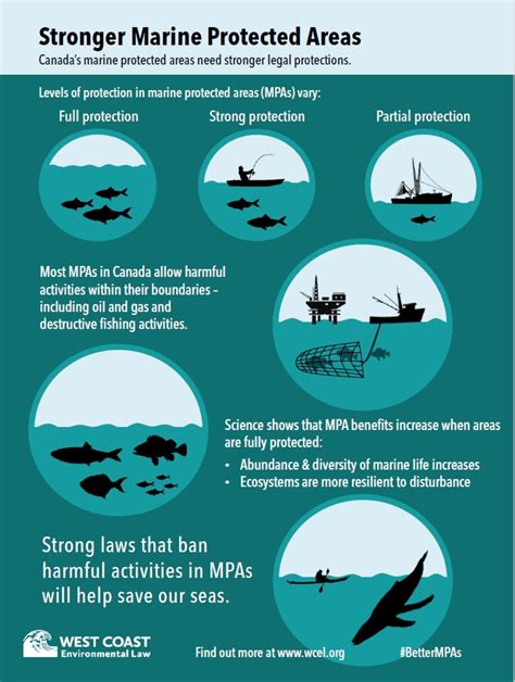 Infographic Stronger Marine Protected Areas Infographic Marine