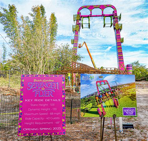 Record Setting Serengeti Flyer Ride Coming To Busch Gardens