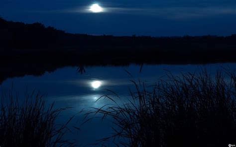 Ночное озеро 58 фото