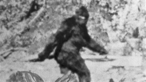 Bigfoot Sighting At National Park Causes Man To Start Shooting Iheart