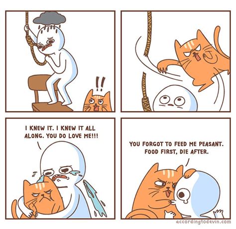 Cats Are Selfish Meme By Mustafatopi Memedroid