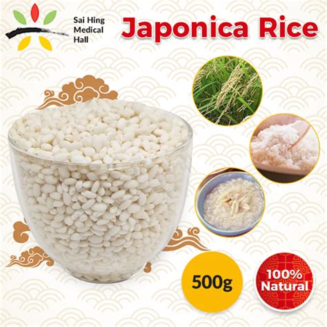 Qoo10 Japonica Rice Food Staples