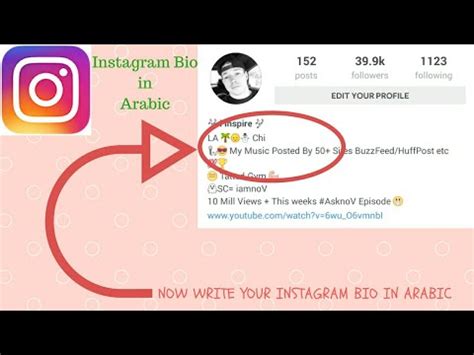 Best Islamic Quotes For Instagram Bio Inspirational Quotes