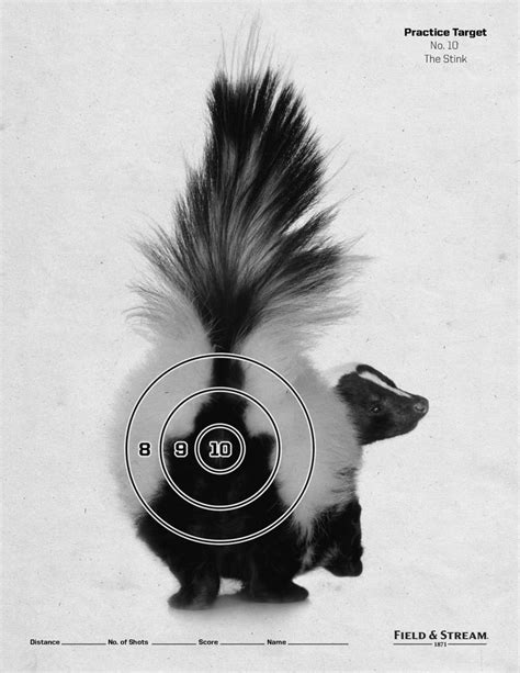Click any paper to see a larger version and download it. 15 best Printable Targets images on Pinterest | Shooting ...