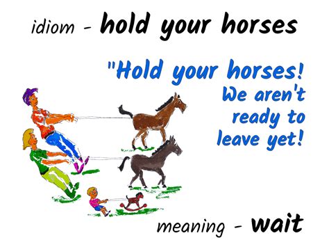 Idiom Hold Your Horses Funky English