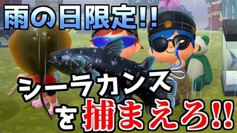 あつまれどうぶつの森】9 珍獣ハンター出動雨の日にしか現れないレア魚シーラカンスを追え【あつ森】 Youtube