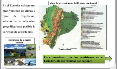 Trabajo Principales Ecosistemas De Mexico Ecosistemas En Mi Comunidad