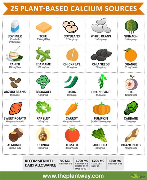25 Vegan Sources Of Calcium Infographic