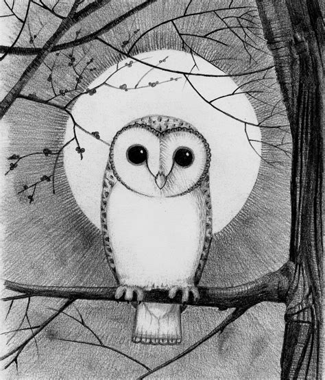 Drawing owl is a bit more tedious than the other drawings we have been doing. Easy owl drawings in pencil how to draw an owl head ...