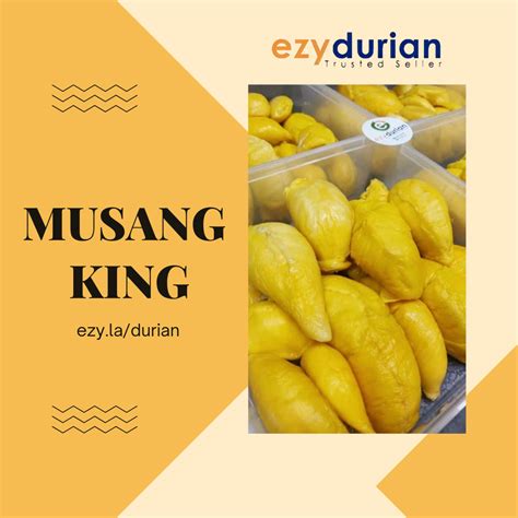 Ezy Durian Selamat Tengahari Semua 😚 Jom Pakat Beli Beli Facebook