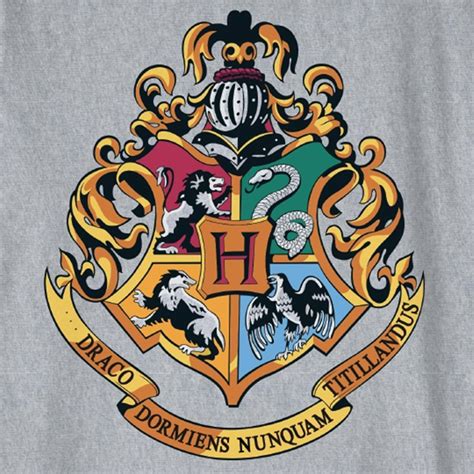 Tshirt Enfant blason Poudlard grischiné  12 ans  Harry Potter