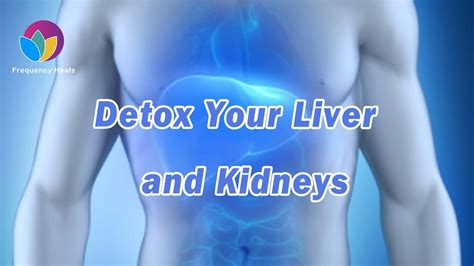Detox Your Liver And Kidneys丨rife Healing Frequency丨eliminate Toxins