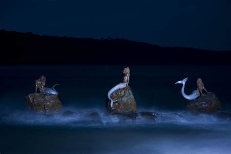 Daydream Island Mermaids C Bentley Flickr