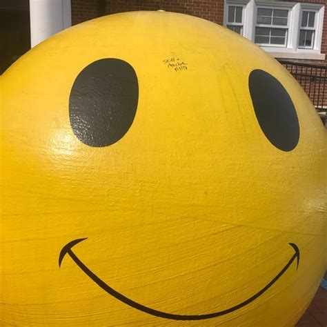 Giant Smiley Face Emoji Gets Black Sharpie Blemish
