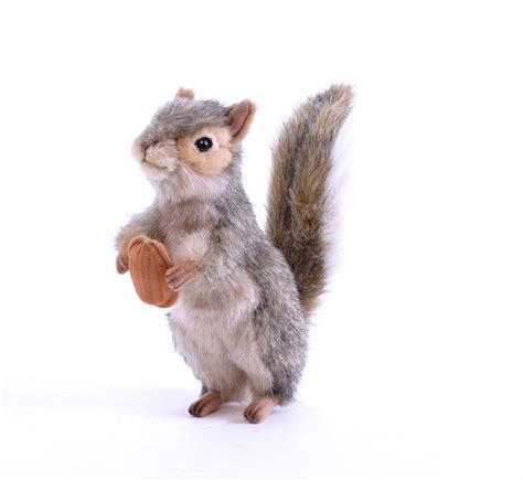Plush Soft Toy Grey Squirrel With Nut Pawsify