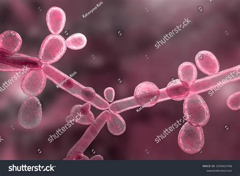 278 Immunocompromised Patients Images Stock Photos And Vectors