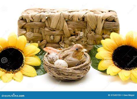Bird Nest And Sunflower Before Phloem Basket Stock Image Image Of