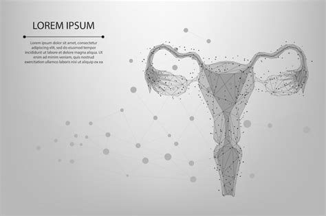 Concepto artístico del sistema reproductor femenino Vector Gratis