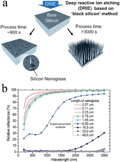 A Schematic Of The Fabrication Of Si Nanograss Using A Deep Reactive