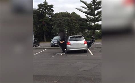 watch absolutely disgusting car passenger shamed for urinating at auckland marina
