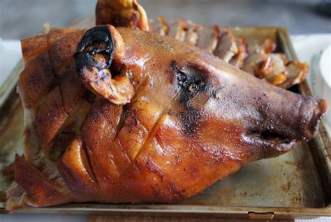 Roast Pork Stock Photo Image Of Cuisine Feast Pork 67059170