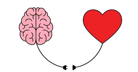 Scientists Measure Brain Networks In Romantic Love