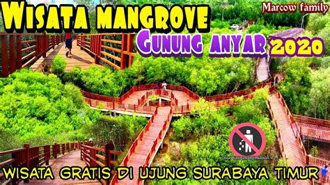 Wisata Mangrove Surabaya Newstempo