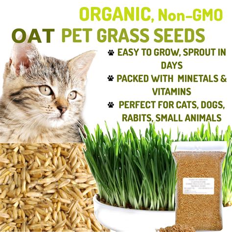 A variety of wet cat food products from several manufacturers all formulated from entirely organic ingredients. Organic Cat Oat Grass Seeds ~ Fully grown in 14 days ~ Pets Love it! | Healthy food shop UK -buy ...