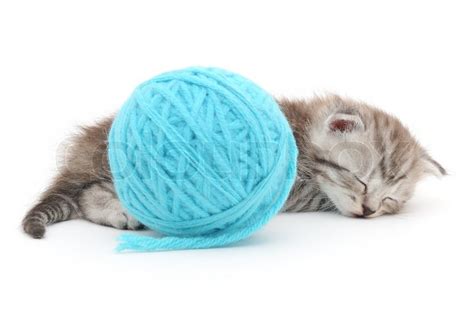 Cat With Ball Of Yarn Stock Photo Colourbox