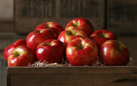 Honeycrisp Apples - a photo on Flickriver