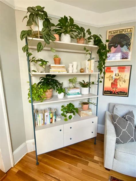 If anyone can weigh in with their own experiences and. Pin on Plant Shelving