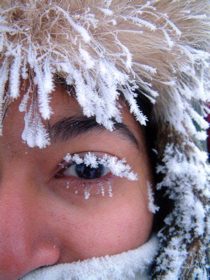 Snowflakes That Stay On My Nose And Eyelashes I Love Winter Winter Is
