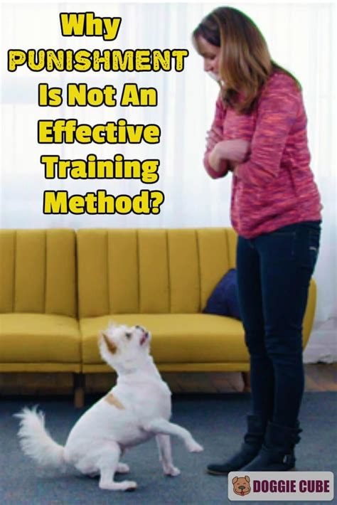 Why Punishment Is Not An Effective Dog Training Method Dogtraining