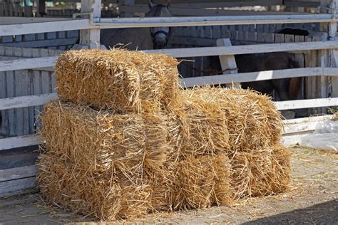 Hay Straw And Bedding — Eugene Backyard Farmer