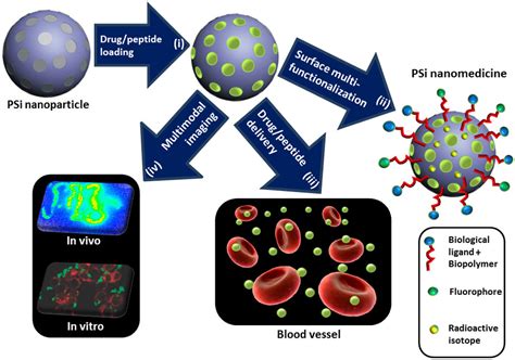 Drug Delivery With Nanostructured Porous Silicon Nanoparticles