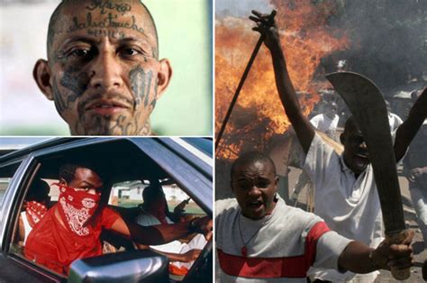 Worlds Deadliest Gangs From The Bandidos And Cossacks To The Bloods