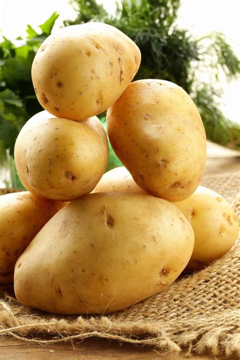 Know Your Potato Varieties Mygourmetconnection