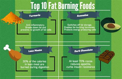 10 Surprising Top Fat Burning Foods