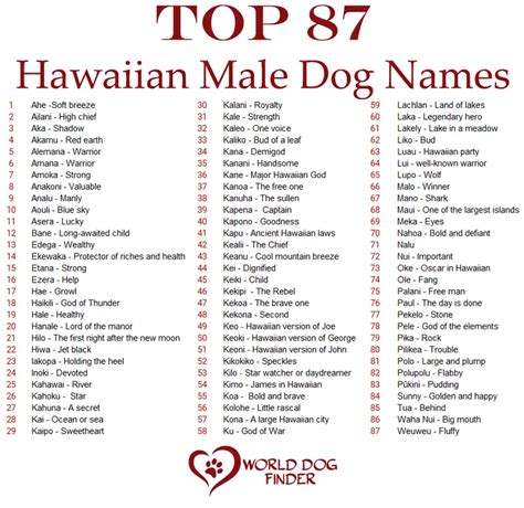 180 Hawaiian Dog Names And Their Meaning