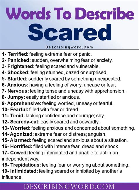 Words To Describe Scared Adjectives For Scared Describingwordcom