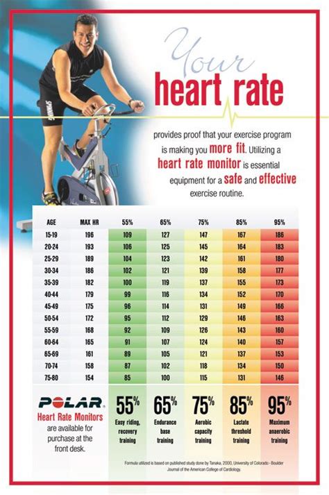 What Is A Good Target Heart Rate While Exercising Targtc