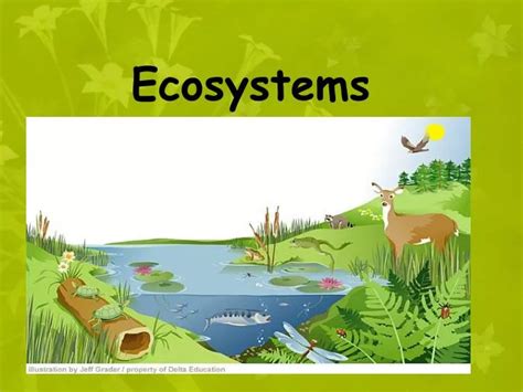 Ecosystem Ppt Template Free Download Printable Templates