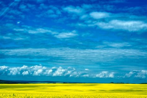 Yellow Field Landscape Rural Free Photo On Pixabay Pixabay