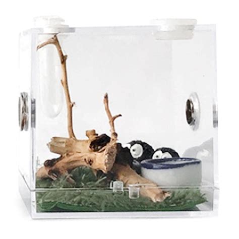 Buy Breeding Box Transparent Insect Feeding Boxes Portable Acrylic Reptile Enclosure