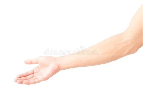 Man Arm With Blood Veins On White Background Stock Photo Image Of
