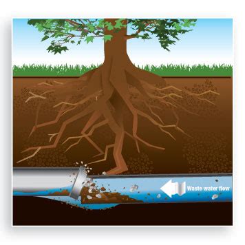 How Long Does Sewer Pipe Lining Last - how long does sewer pipe lining last