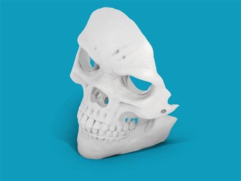 Sie können alle dateien sofort und ohne anmeldung herunterladen und mit dem drucken beginnen. 6 kostenlose Totenkopf 3D-Druckvorlagen die richtig schocken!